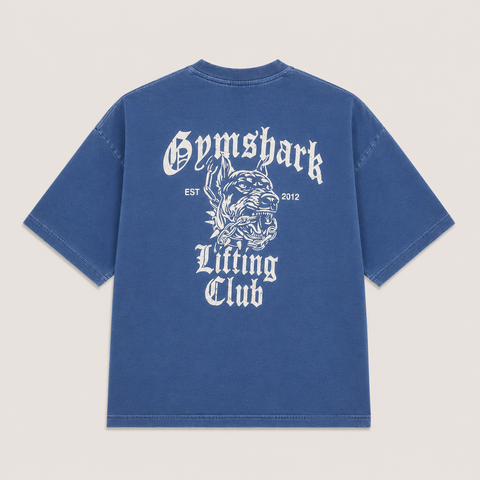 GymShark | Oversized Round Neck T-Shirt | Light Blue