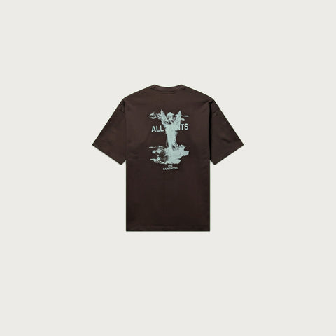 AllSaints | Brown Round Neck T-Shirt
